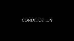 Conditus- SA Cabinet No. 2 - Promotion Video #2  (Assemble)